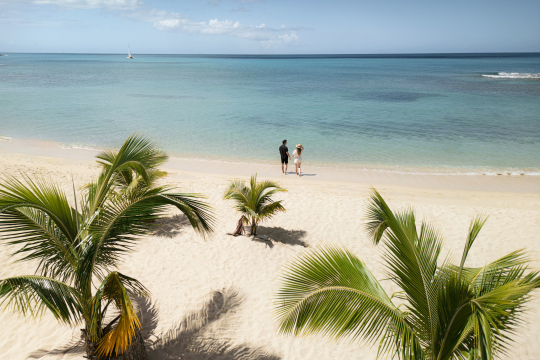 Paar am Strand mit Palmen